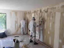 Best Mold Damage Restoration  in West Hammond, NM